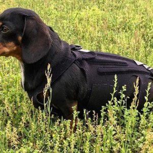 L'il Back Bracer  Size Medium - New in package - Never worn